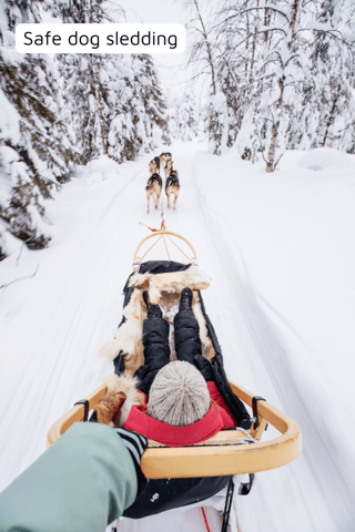 Safe dog sledding (1)